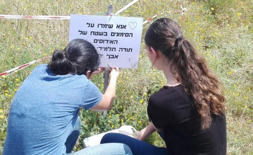 שילוט.jpg