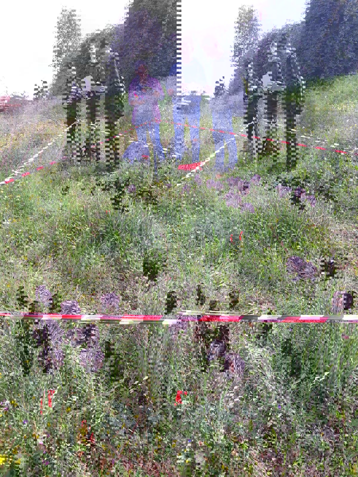 23925F8e 1D76 40Af 947C 978954A3c22f