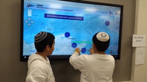 המדוזות מחוללות שינוי בית ספרי